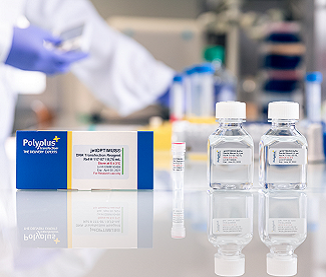 POLYPLUS TRANSFECTION Laboratoire