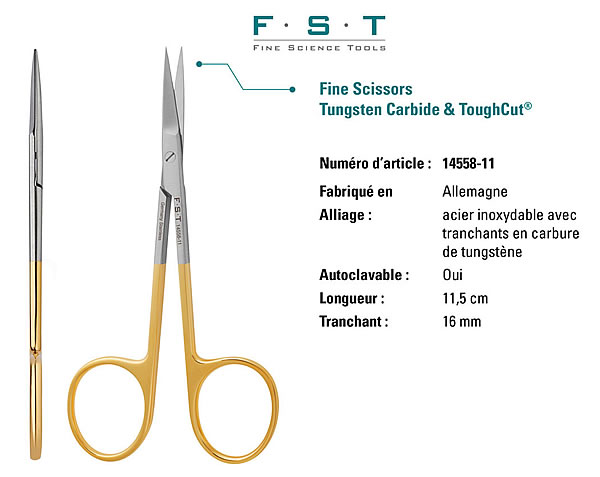 Fine Scissors - Tungsten Carbide & ToughCut®